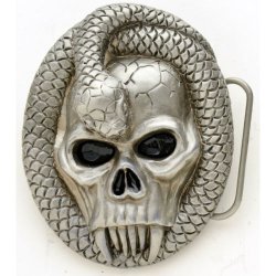 BK-737 Skull with snake.