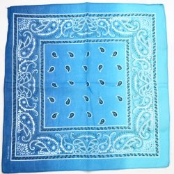 BDNA-BLUETD Blue tie-dye paisley print bandanna