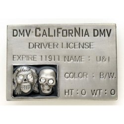BK-806 California Drivers License with skulls