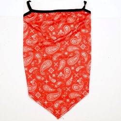 TUM-002 Red paisley print tube face mask