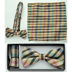 BTCH617 Plaid print bow tie with handkerchief
