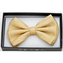 BOT-B22 Gold glitter bow tie