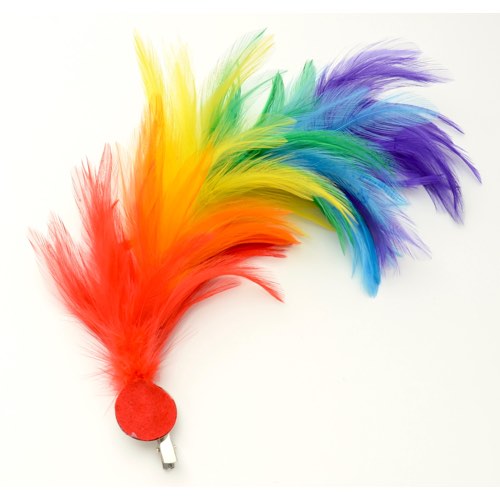 HB-RB01 Hair clip or brooch with rainbow feathers - Click Image to Close