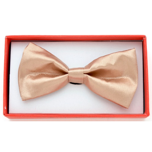 KBOT-232 Shiny champagne Kids Bow tie - Click Image to Close