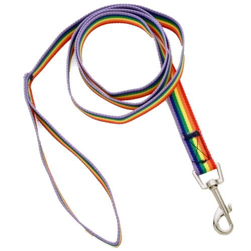 DGLH-01 Rainbow dog leash - Click Image to Close